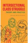 Intersectional Class Struggle: Theory and Practice