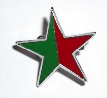 Green Socialist Red & Green star badge
